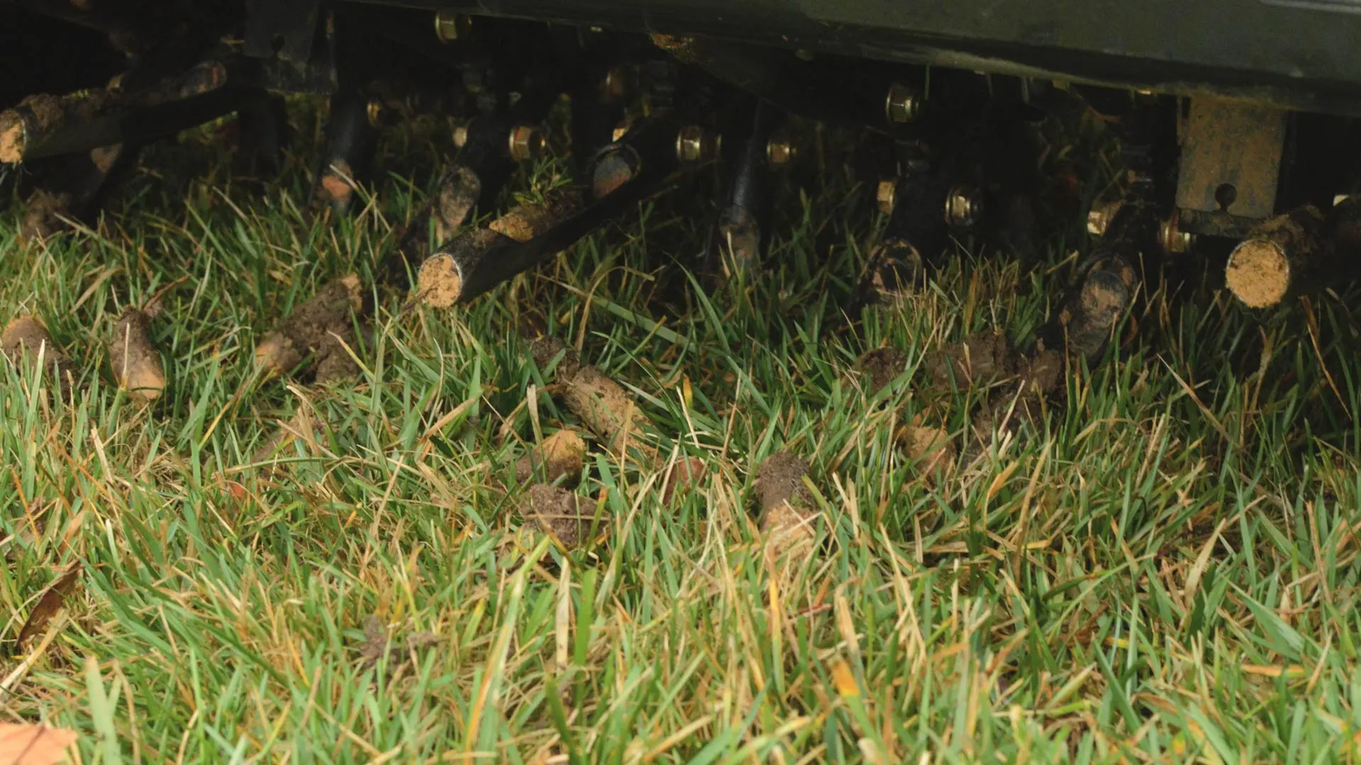 Spring Is a Great Time to Schedule Core Aeration for Your Lawn in South Dakota