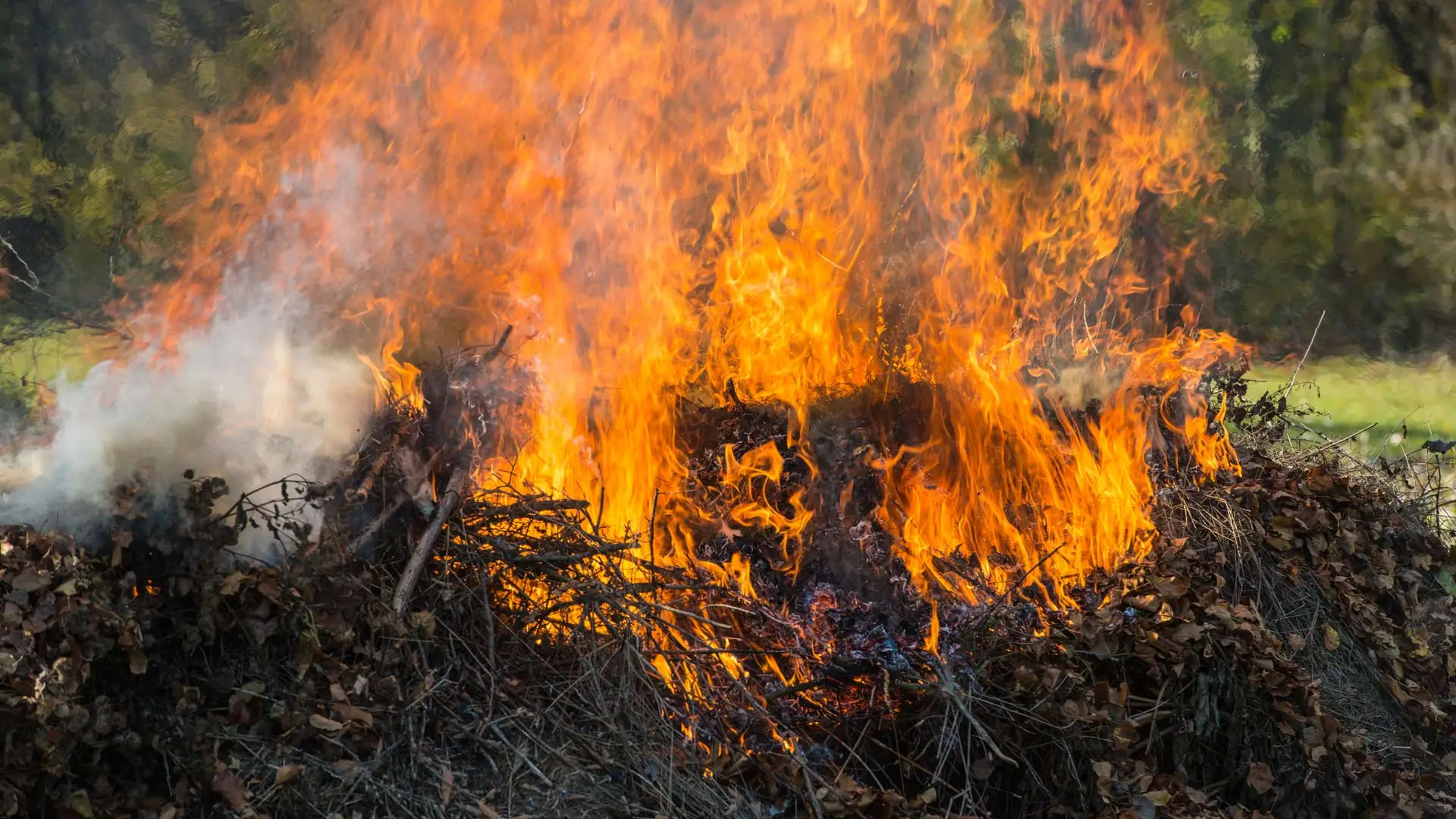 Don’t Burn the Leaf Piles on Your Lawn in Sioux Falls, SD