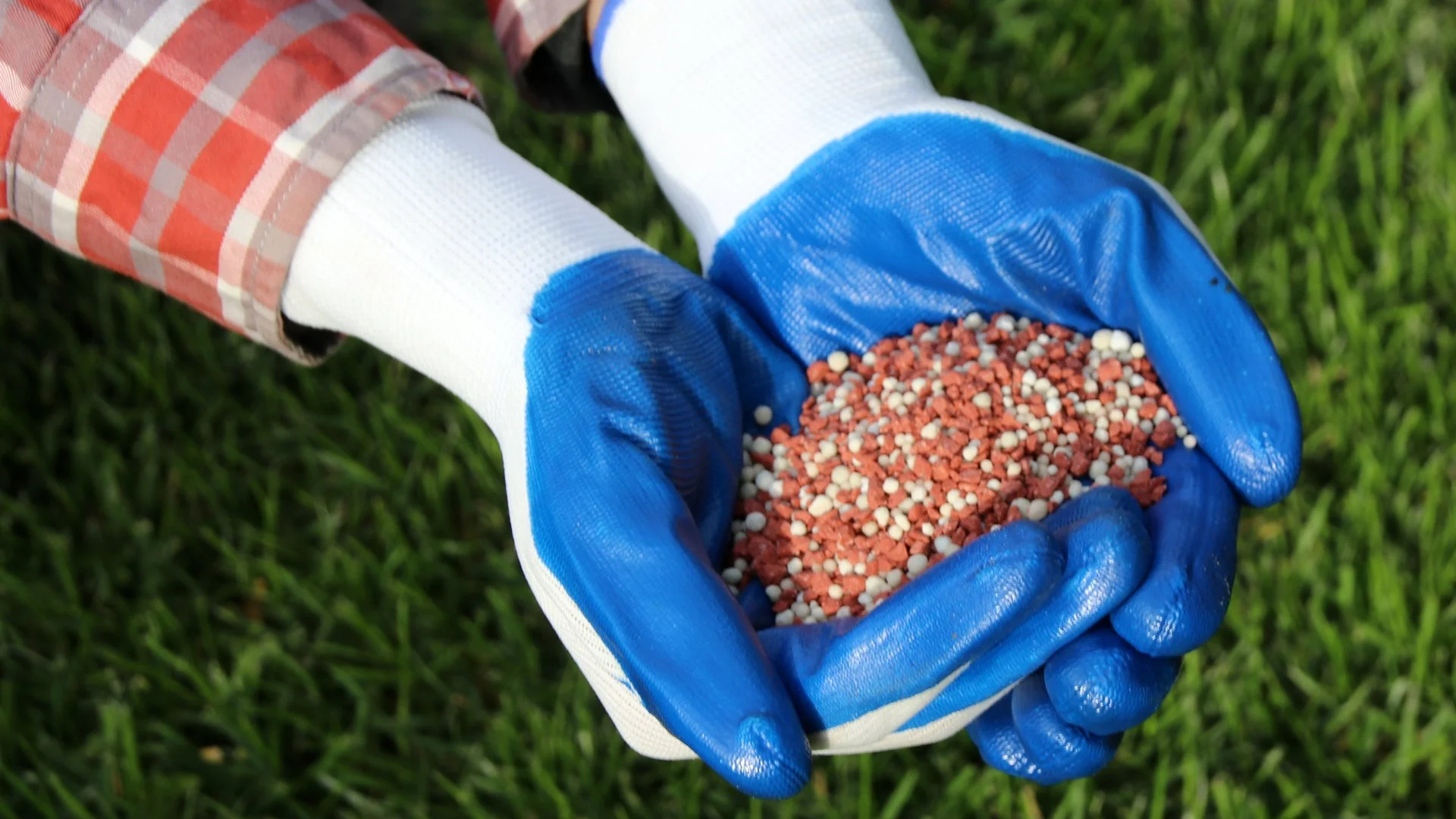 Is It Possible to Fertilize Your Lawn Too Late Into the Fall Season?