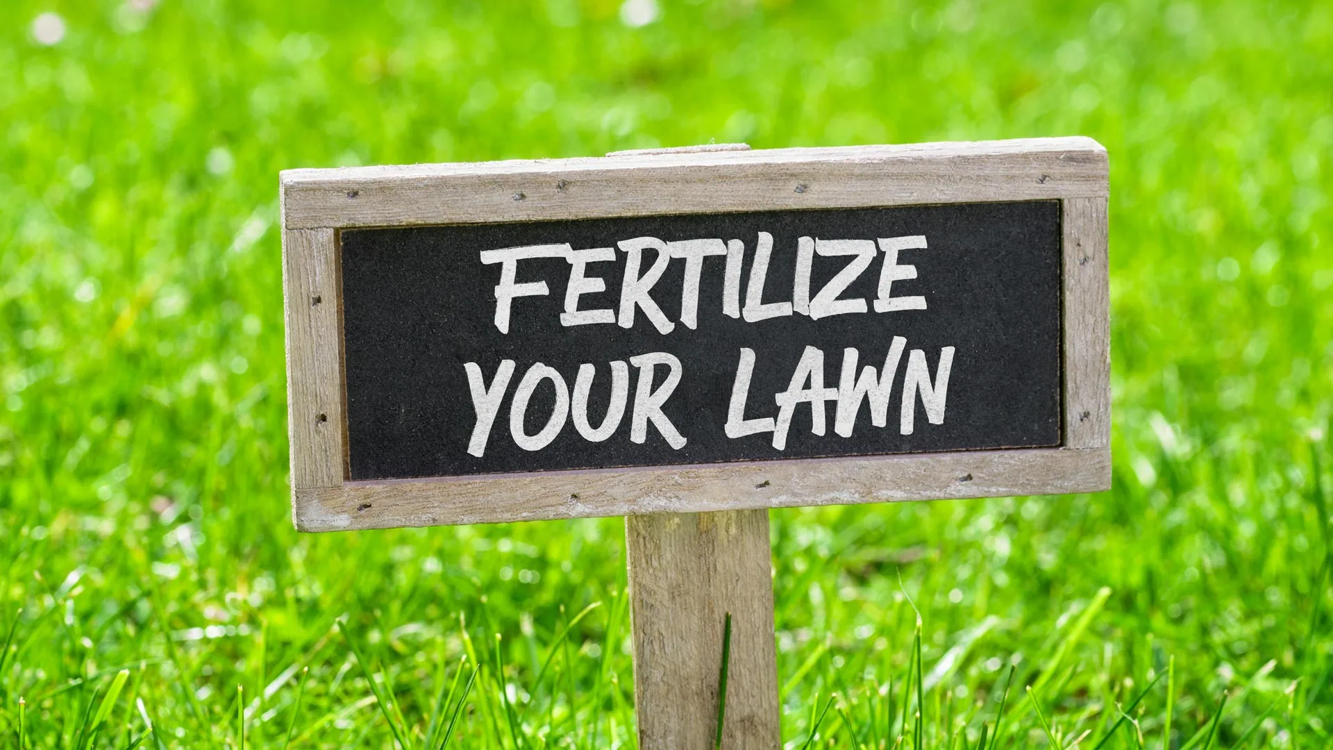 Don’t Forget to Schedule a Fertilization Treatment This Spring!