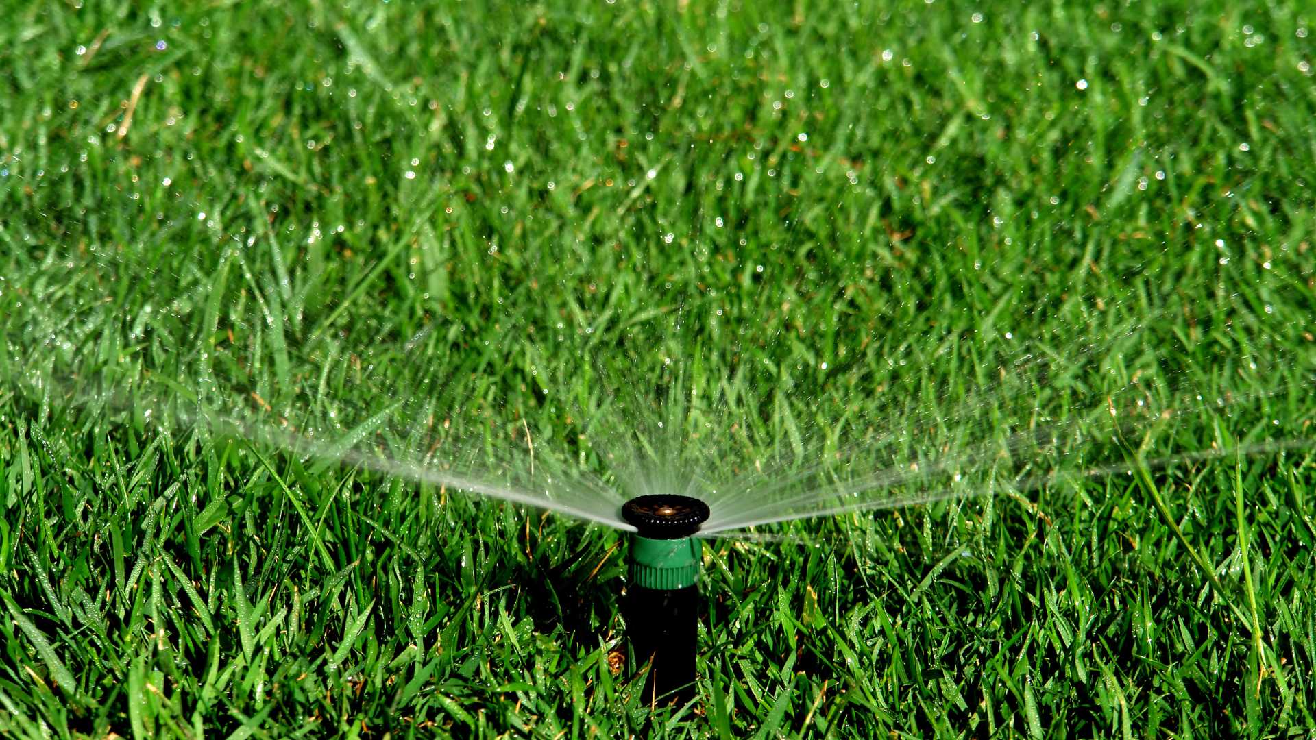 Irrigation sprinkler system watering lawn in Sioux Falls, SD.