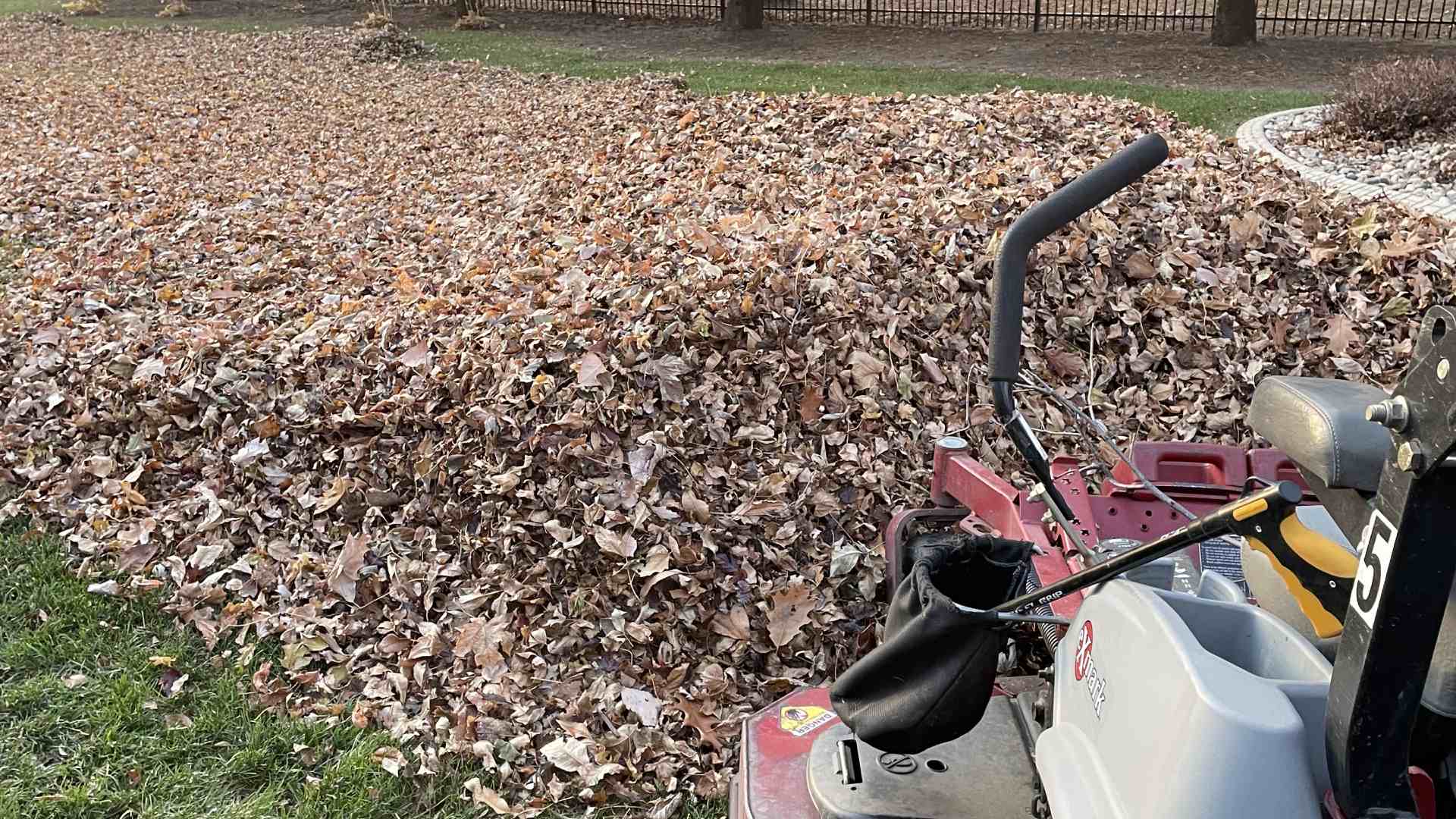 Leaf removal service being done in Harrisburg, SD.