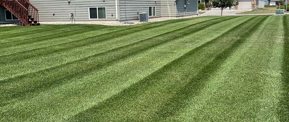 Beautiful, green lawn grass with mowing stripes near Brandon, SD.
