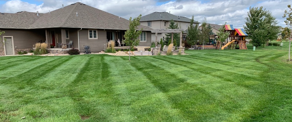 A freshly mowed lawn with pattern for a customer in Sioux Falls, SD.