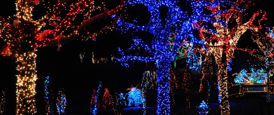 Holiday lighting installed over landscape trees in Sioux Falls, SD.