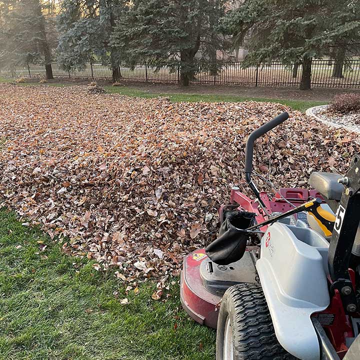 Clearing fall leaves from a yard near Sioux Falls, SD.